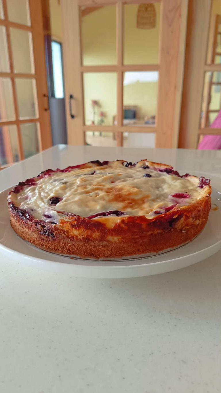 Kuchen Sureño de Curiñanco Valdivia